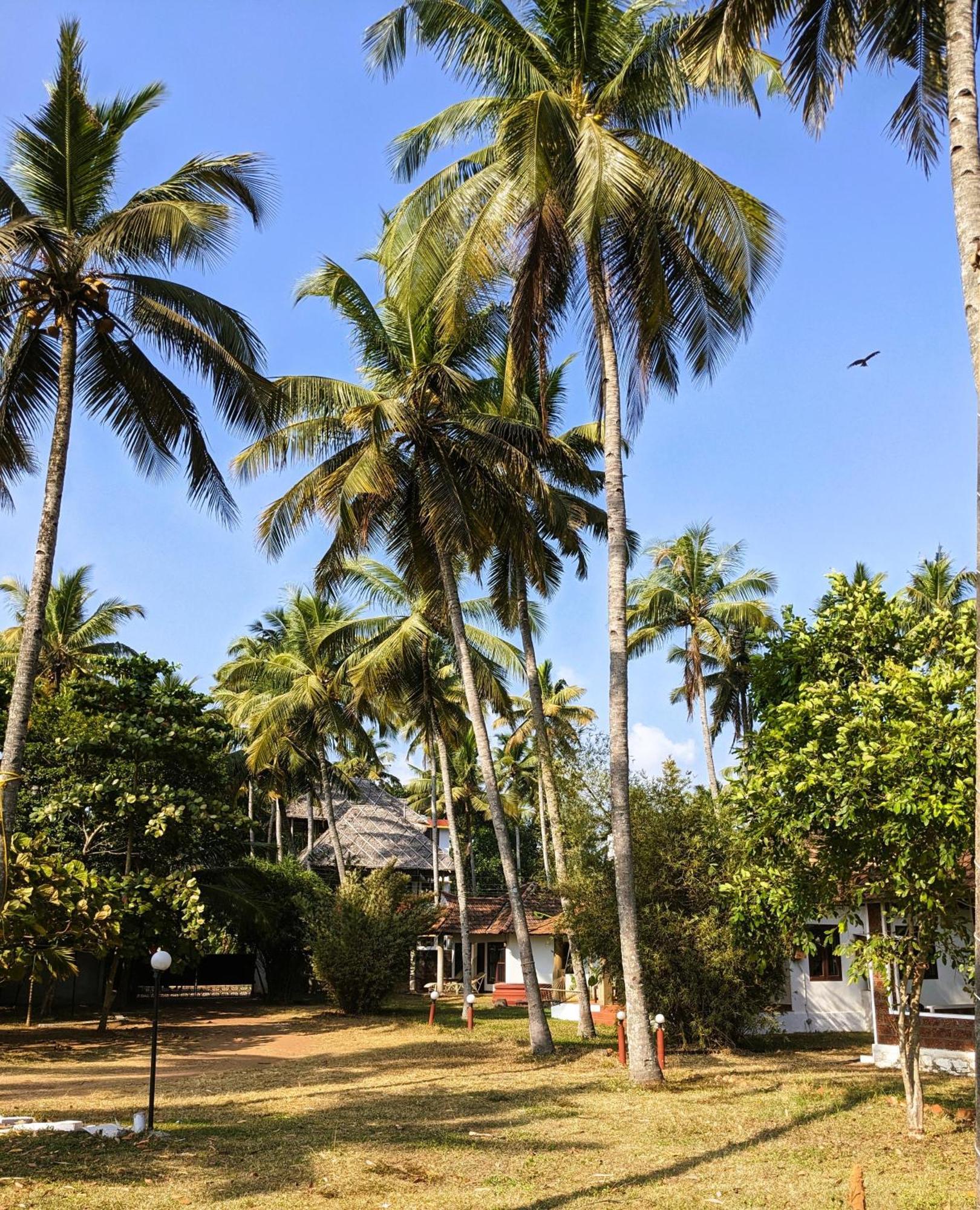 Baycliff Cottages Varkala Exterior foto
